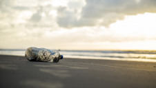 Projects will focus on marine conservation and tackling plastics pollution in developing countries